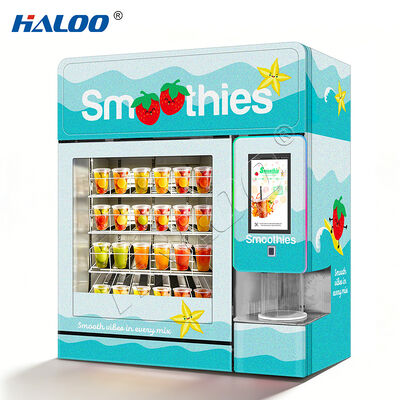 Haloo 2016 gefrorene Smoothie-Automaten mit mehr als 20 Fruchtgeschmacksrichtungen und einem Warmwasserreinigungsmodul aus verdicktem Verzinktem