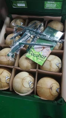 Frische Frucht-Automat Soems kombiniert mit Netz des Schließfach-4G